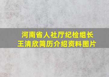 河南省人社厅纪检组长王清欣简历介绍资料图片