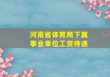 河南省体育局下属事业单位工资待遇