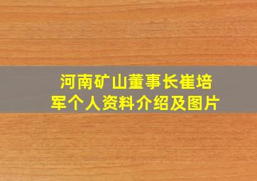 河南矿山董事长崔培军个人资料介绍及图片