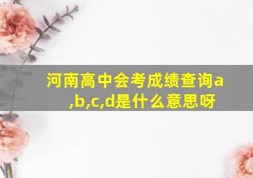 河南高中会考成绩查询a,b,c,d是什么意思呀