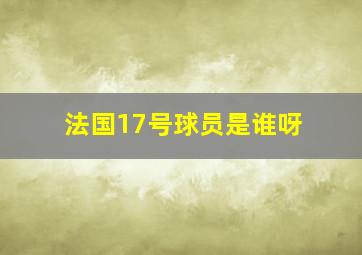 法国17号球员是谁呀