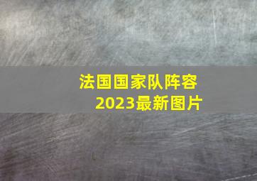 法国国家队阵容2023最新图片