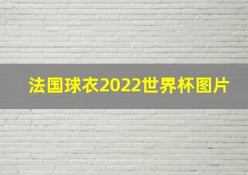 法国球衣2022世界杯图片