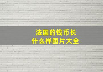 法国的钱币长什么样图片大全