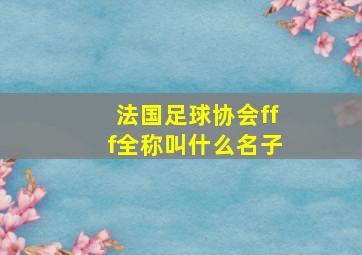 法国足球协会fff全称叫什么名子