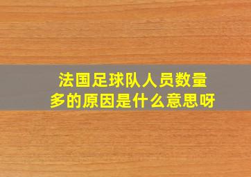 法国足球队人员数量多的原因是什么意思呀