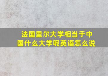 法国里尔大学相当于中国什么大学呢英语怎么说