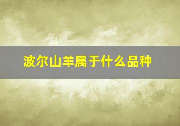 波尔山羊属于什么品种