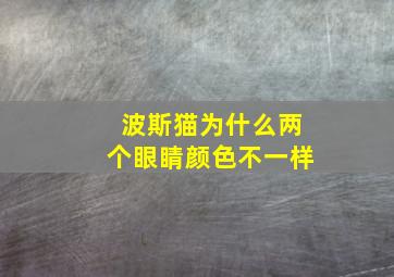 波斯猫为什么两个眼睛颜色不一样