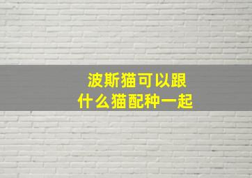 波斯猫可以跟什么猫配种一起