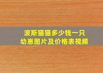 波斯猫猫多少钱一只幼崽图片及价格表视频