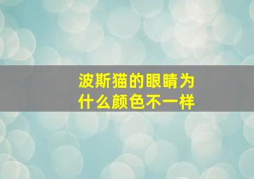 波斯猫的眼睛为什么颜色不一样