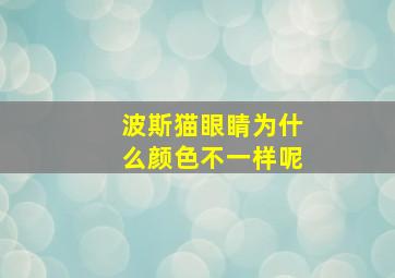 波斯猫眼睛为什么颜色不一样呢