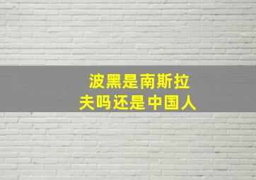 波黑是南斯拉夫吗还是中国人