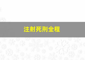 注射死刑全程