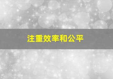 注重效率和公平