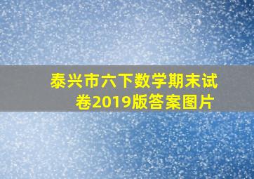 泰兴市六下数学期末试卷2019版答案图片