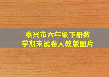 泰兴市六年级下册数学期末试卷人教版图片