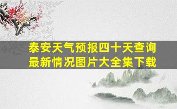 泰安天气预报四十天查询最新情况图片大全集下载