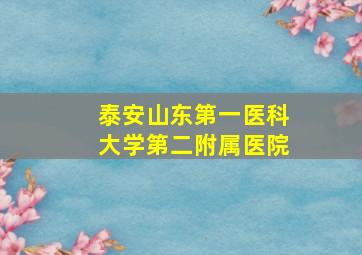 泰安山东第一医科大学第二附属医院