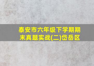 泰安市六年级下学期期末真题实战(二)岱岳区