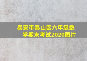 泰安市泰山区六年级数学期末考试2020图片