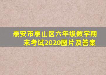 泰安市泰山区六年级数学期末考试2020图片及答案