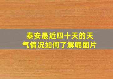 泰安最近四十天的天气情况如何了解呢图片