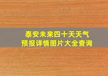 泰安未来四十天天气预报详情图片大全查询