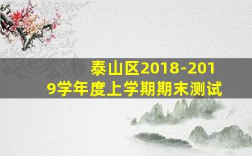 泰山区2018-2019学年度上学期期末测试