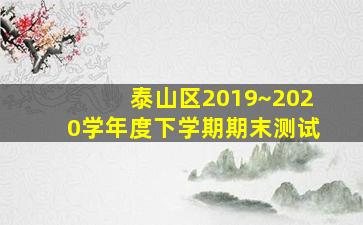 泰山区2019~2020学年度下学期期末测试