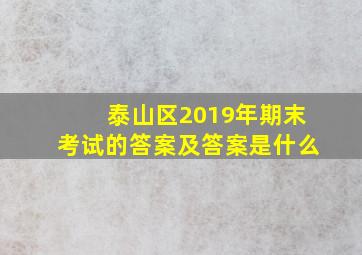 泰山区2019年期末考试的答案及答案是什么