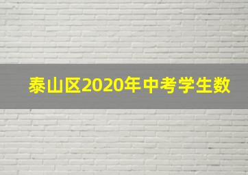 泰山区2020年中考学生数