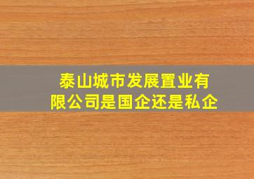 泰山城市发展置业有限公司是国企还是私企