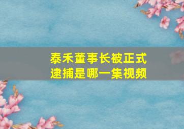 泰禾董事长被正式逮捕是哪一集视频