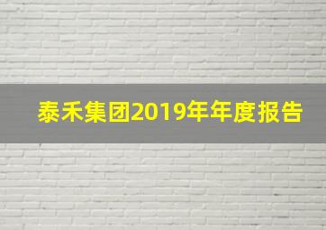 泰禾集团2019年年度报告