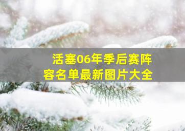 活塞06年季后赛阵容名单最新图片大全