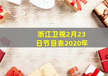 浙江卫视2月23日节目表2020年