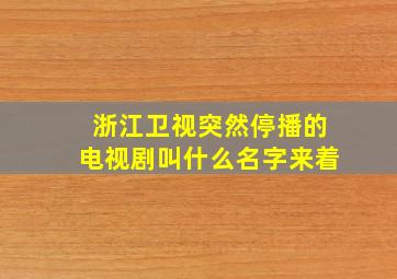 浙江卫视突然停播的电视剧叫什么名字来着