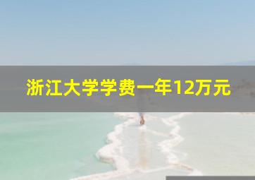 浙江大学学费一年12万元