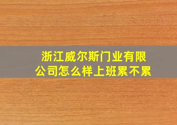 浙江威尔斯门业有限公司怎么样上班累不累