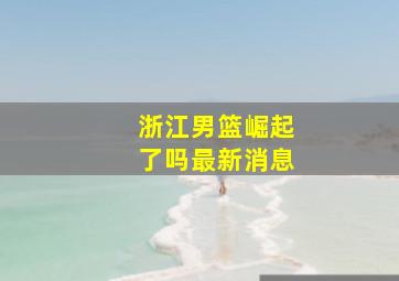 浙江男篮崛起了吗最新消息