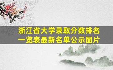 浙江省大学录取分数排名一览表最新名单公示图片