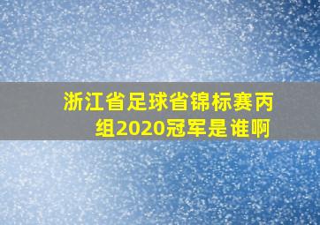 浙江省足球省锦标赛丙组2020冠军是谁啊