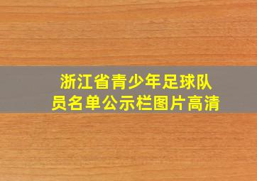 浙江省青少年足球队员名单公示栏图片高清