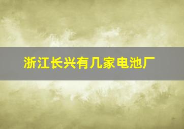 浙江长兴有几家电池厂