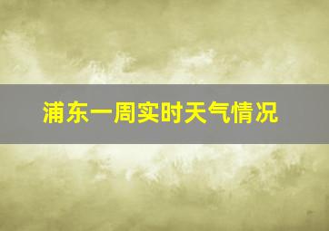 浦东一周实时天气情况