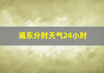 浦东分时天气24小时