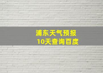 浦东天气预报10天查询百度