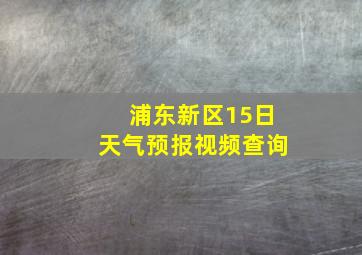 浦东新区15日天气预报视频查询